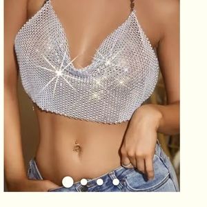 Sliver Sexy Crop Top